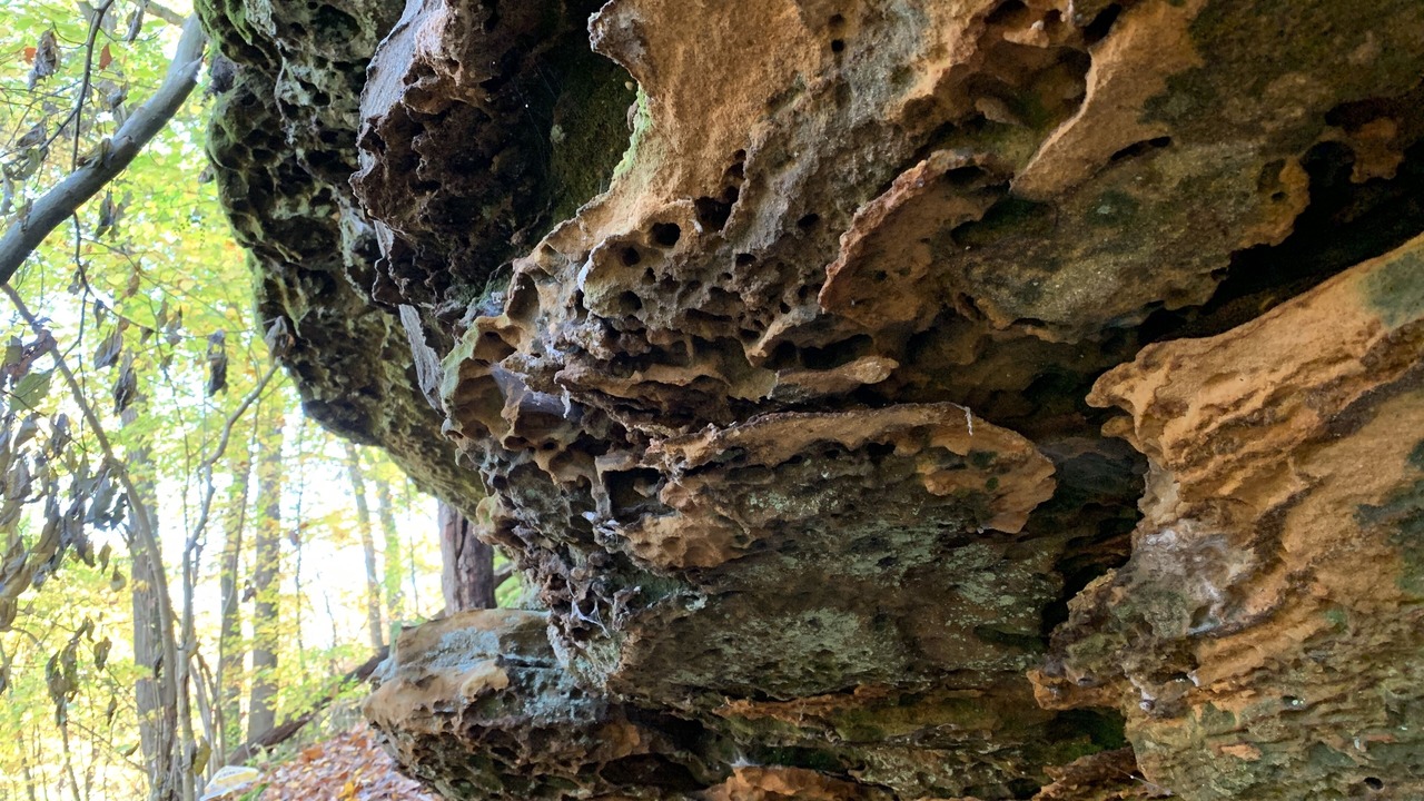 Photo of Outdoor in Lancaster
