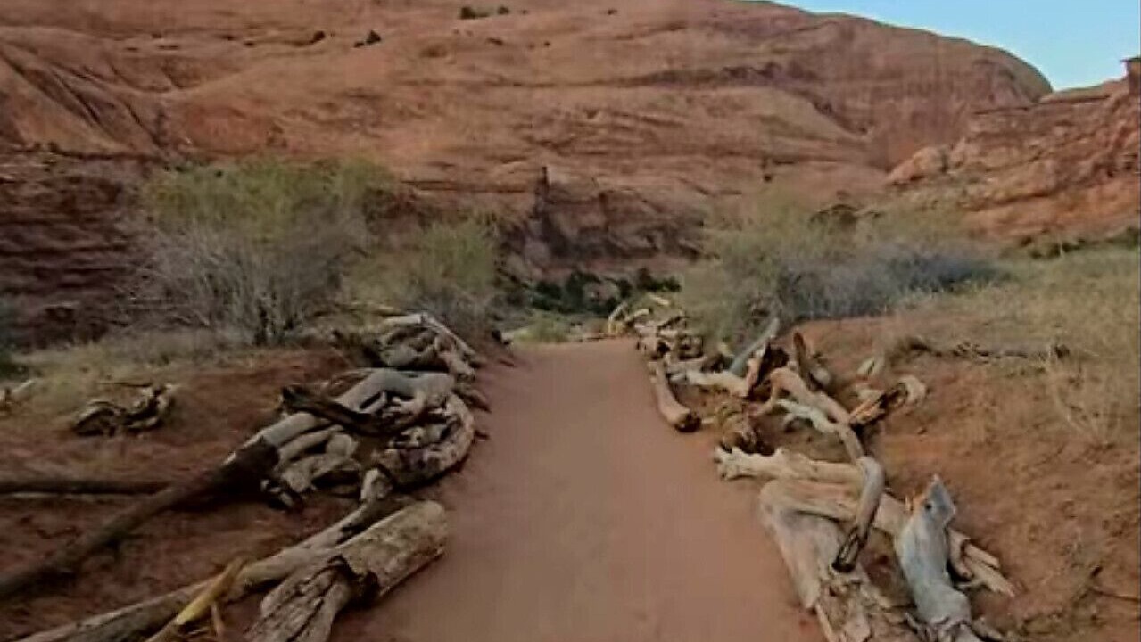 Photo of Others in Moab