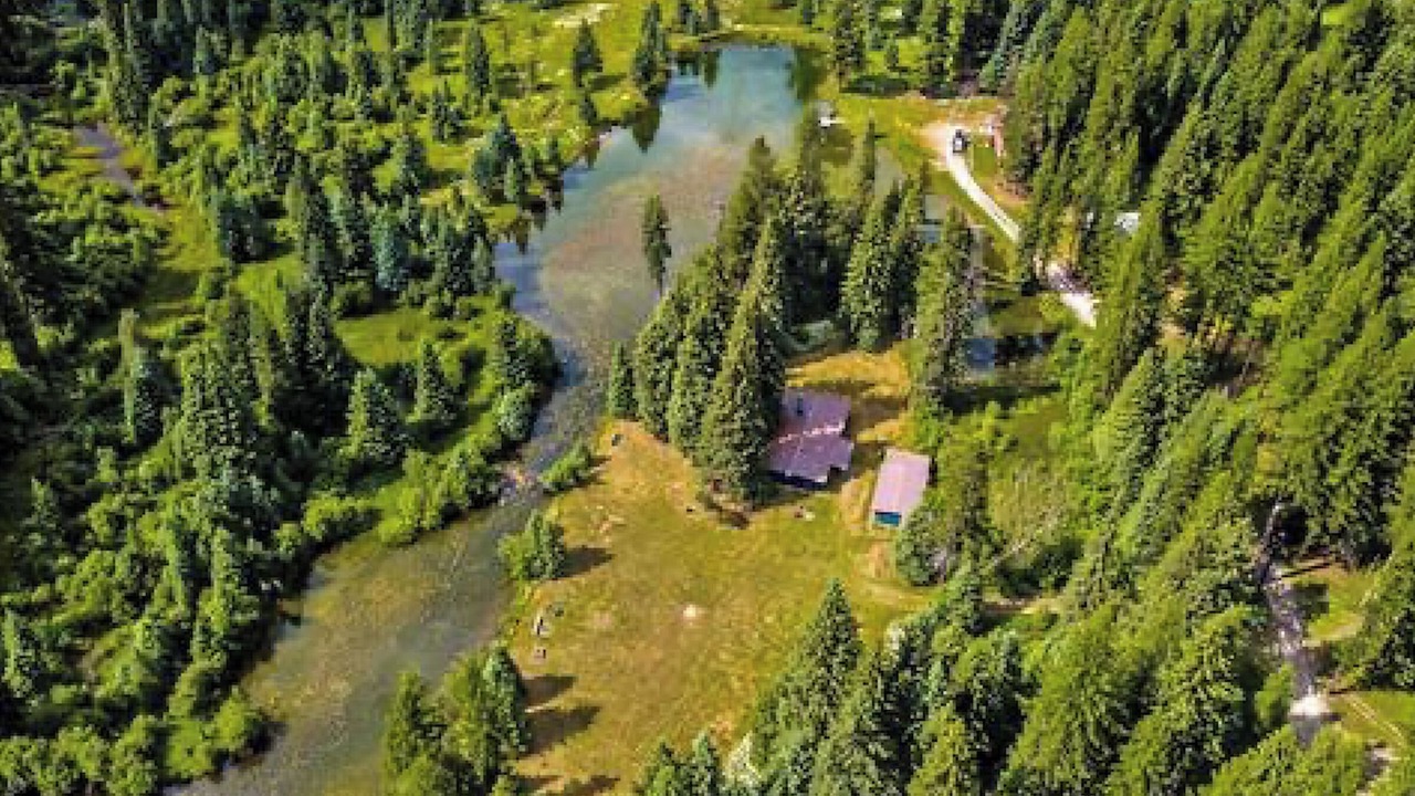 Photo of Others in Bigfork