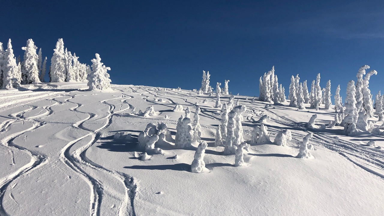 Photo of Others in Kalispell