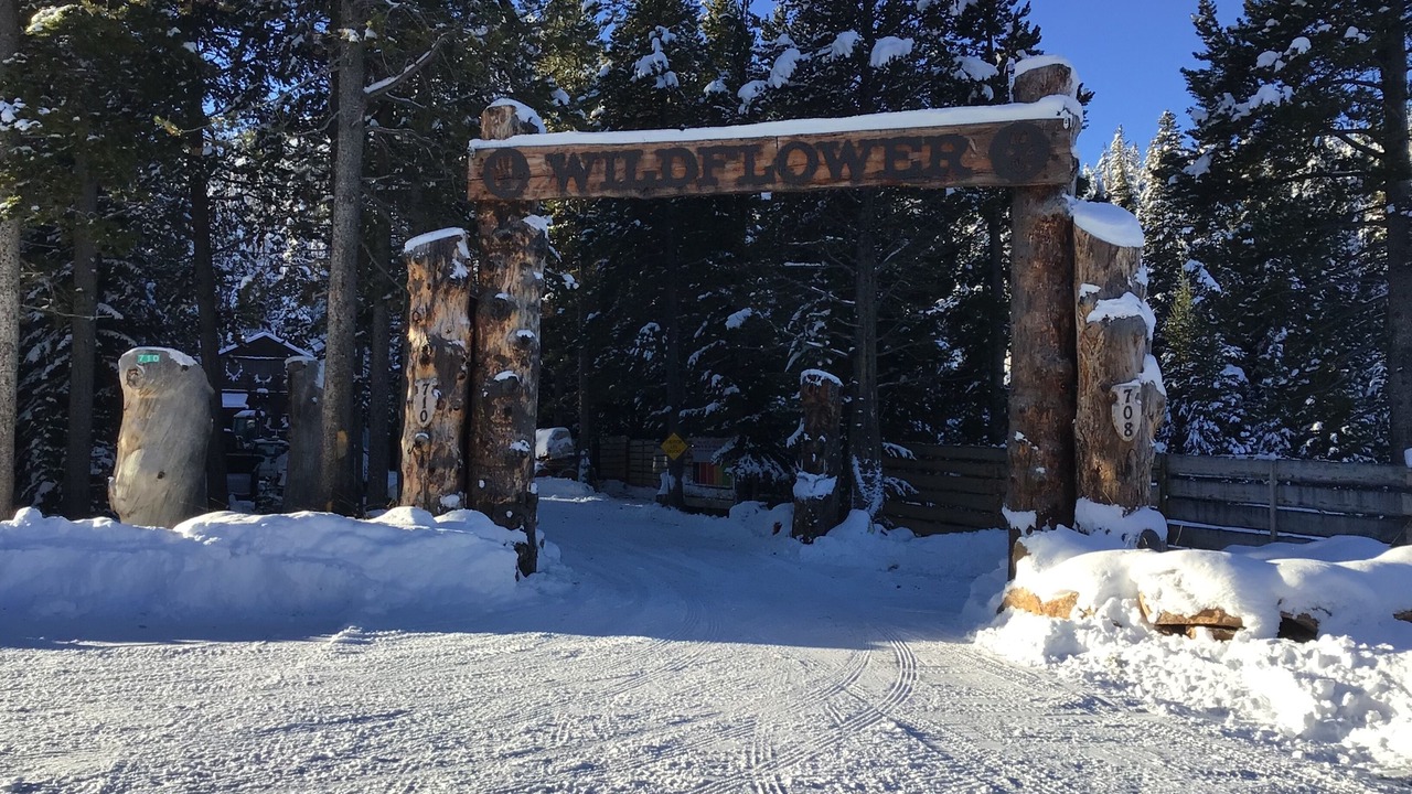 Photo of Outdoor in Cooke City-Silver Gate