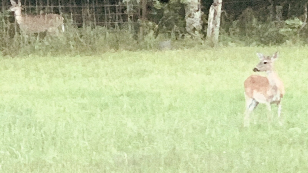 Photo of Outdoor in Ringold