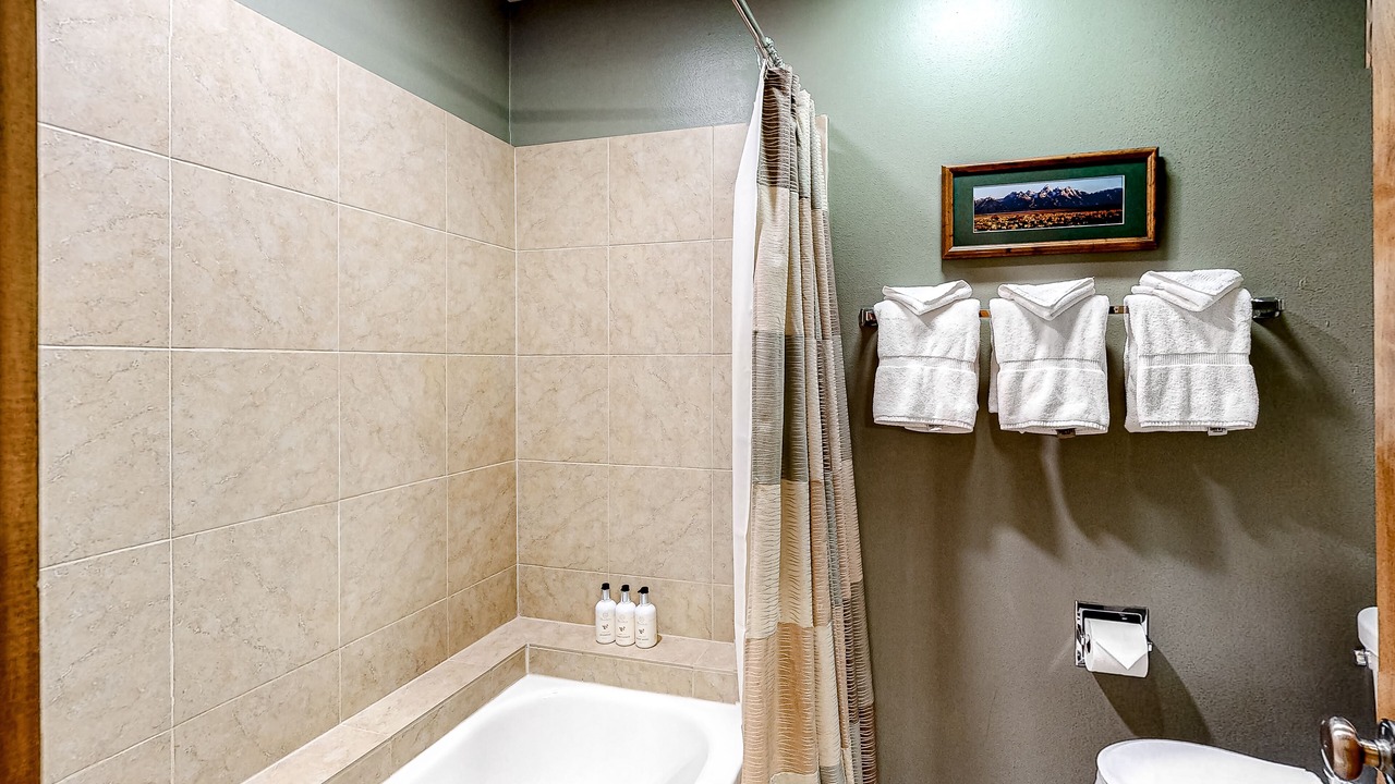 Photo of Bathroom in Moose Wilson Road