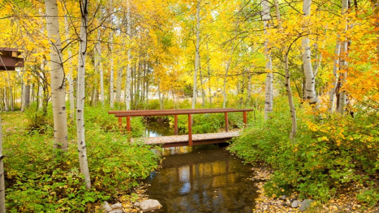 Photo of Outdoor in Moose Wilson Road