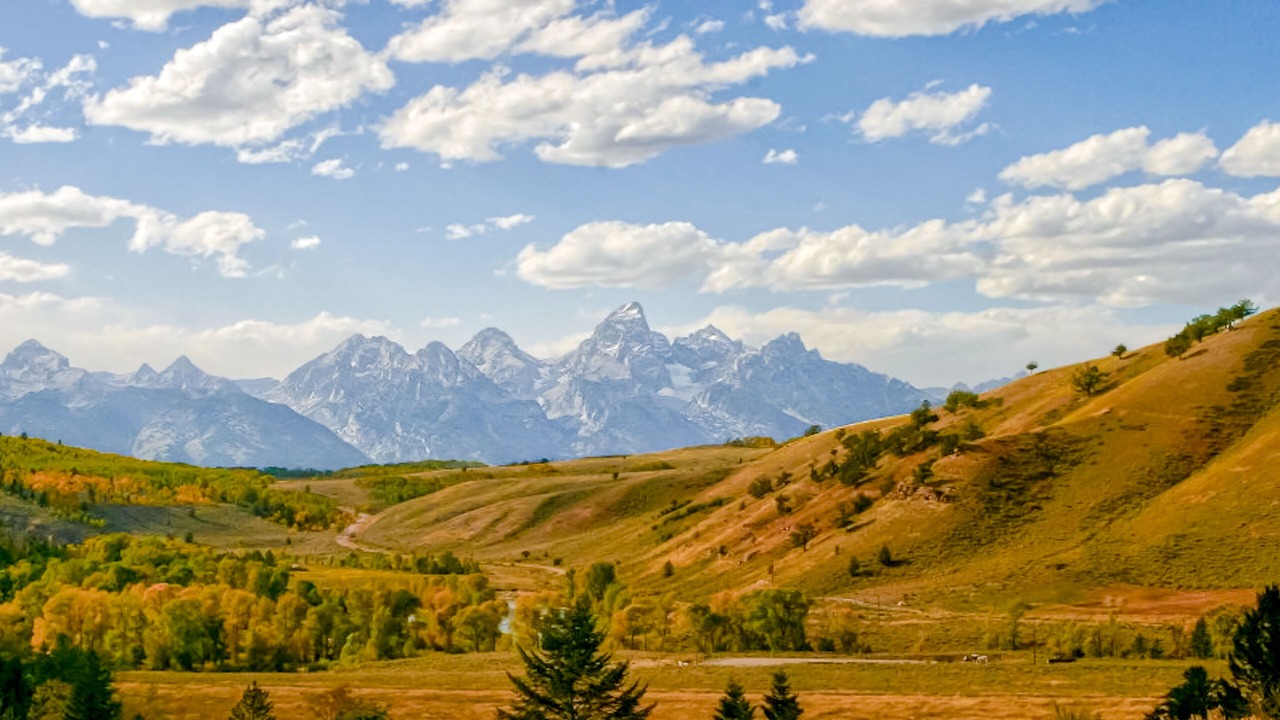 Photo of Others in Jackson Hole