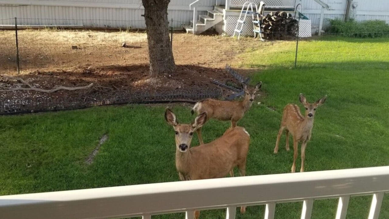 Photo of Others in Davenport