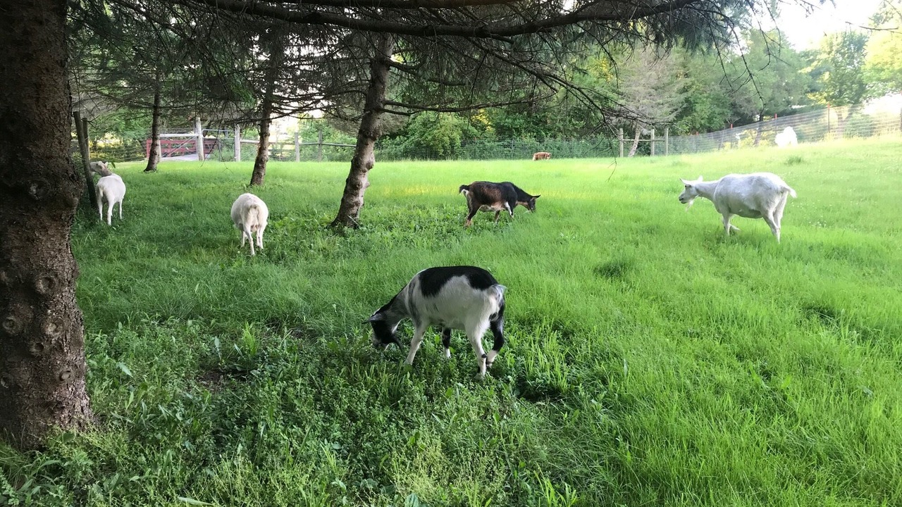 Photo of Outdoor in Dola