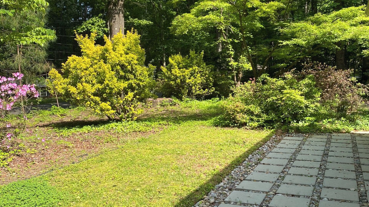 Photo of Outdoor in Cary