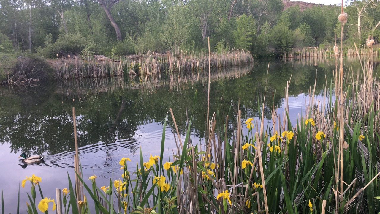 Photo of Outdoor in East End