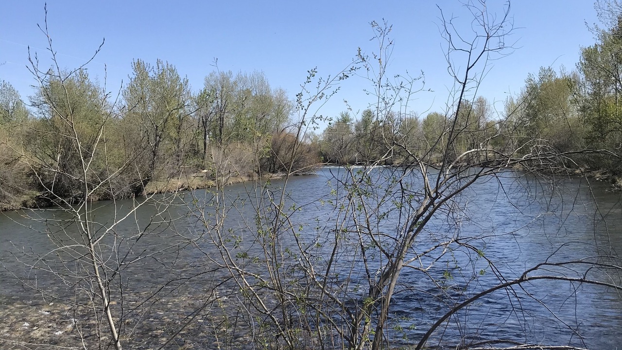 Photo of Outdoor in East End