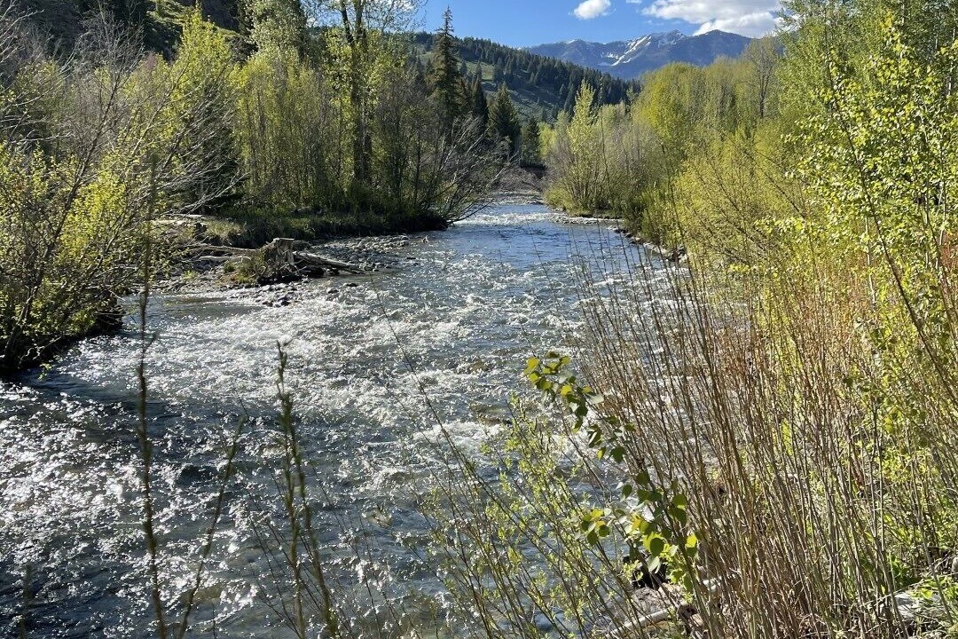 Photo of Others in Sun Valley