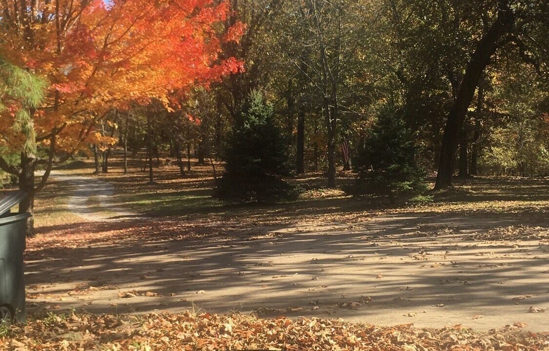 Photo of Outdoor in Cookson