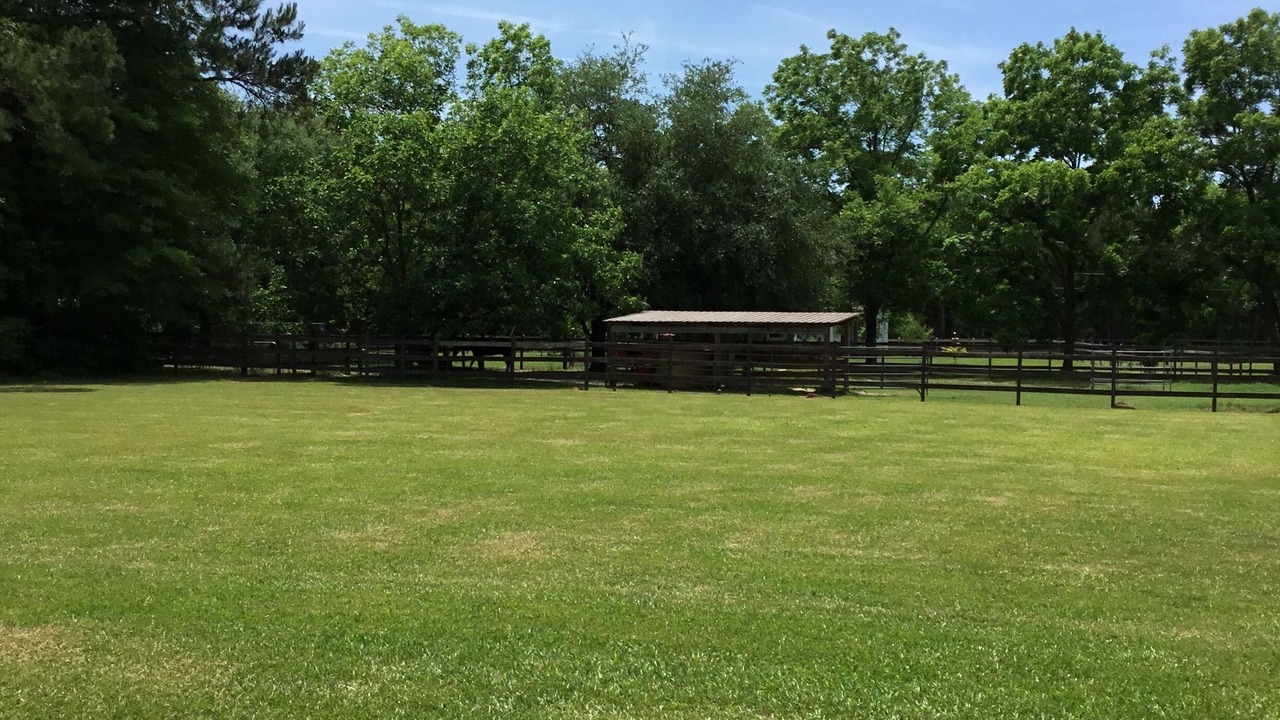 Photo of Outdoor in Summerton