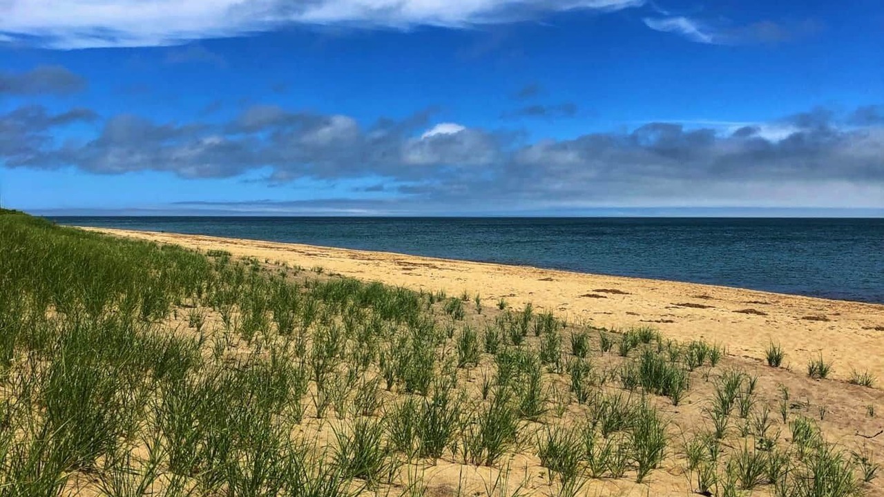 Photo of Others in Siasconset