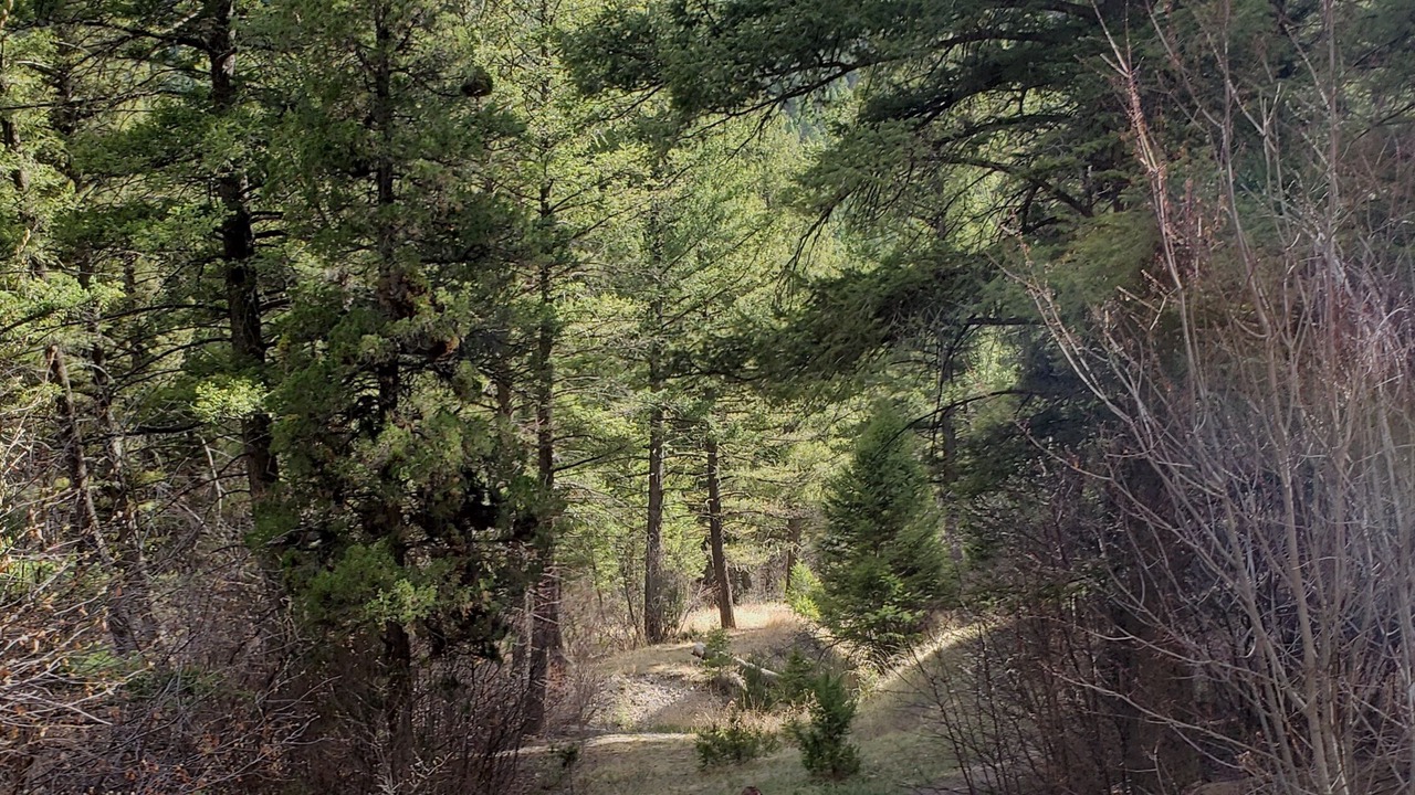Photo of Outdoor in Helena