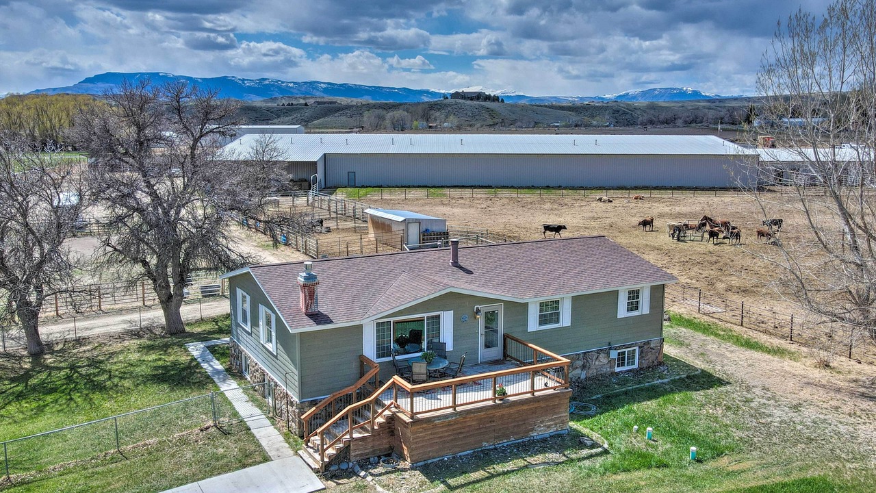 Photo of Outdoor in Cody