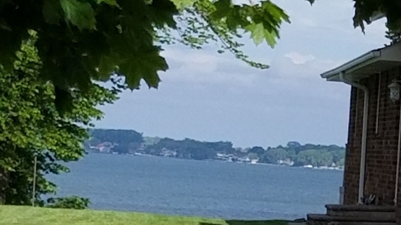 Photo of Others in Clear Lake