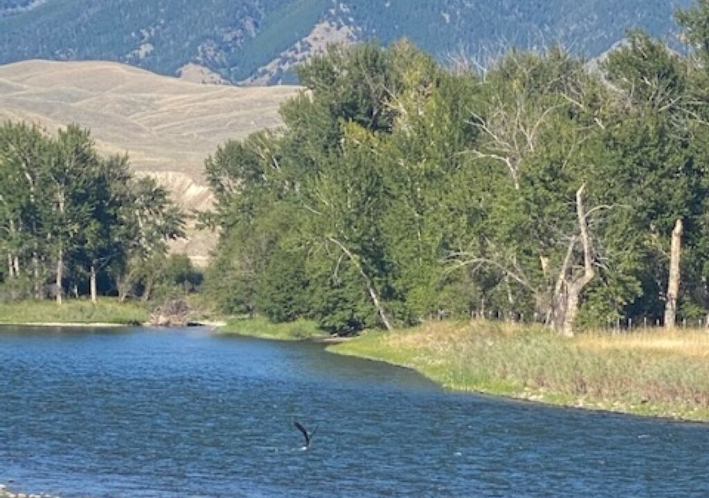 Photo of Others in Salmon