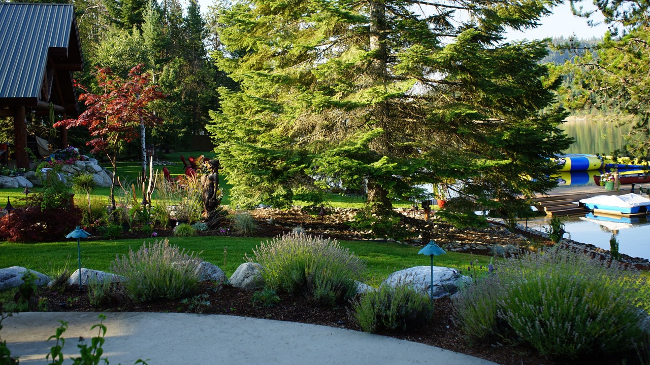Photo of Outdoor in Sagle