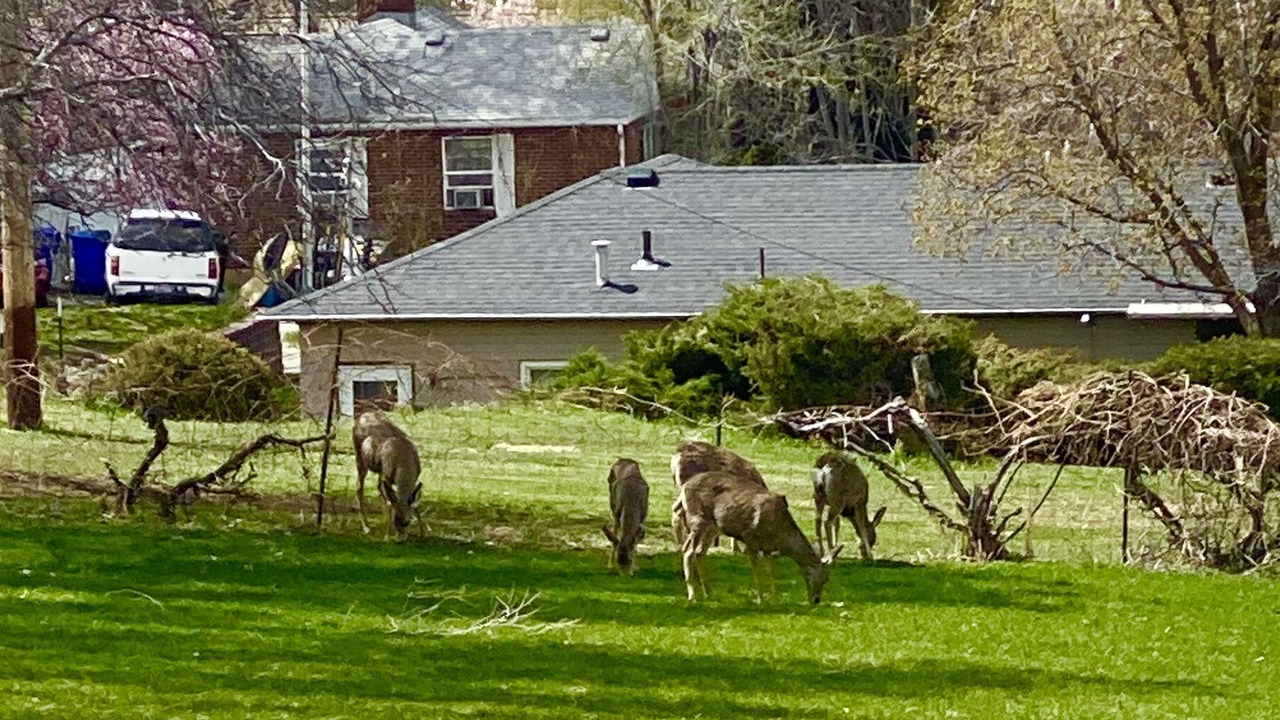 Photo of Outdoor in Bountiful