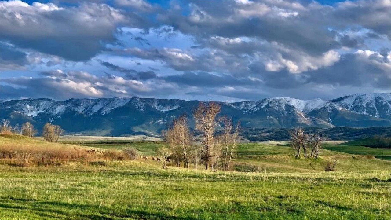 Photo of Outdoor in Red Lodge