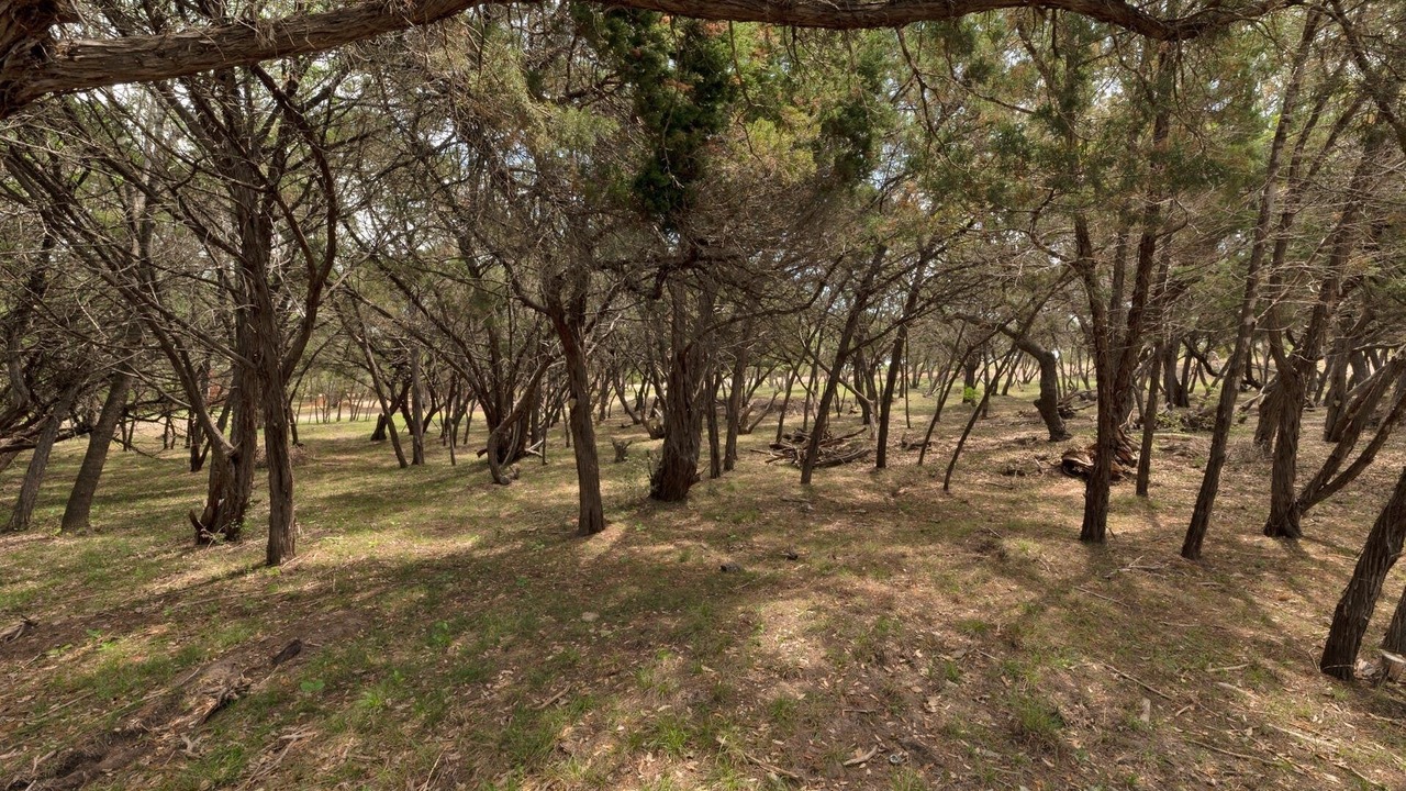 Photo of Others in Austin