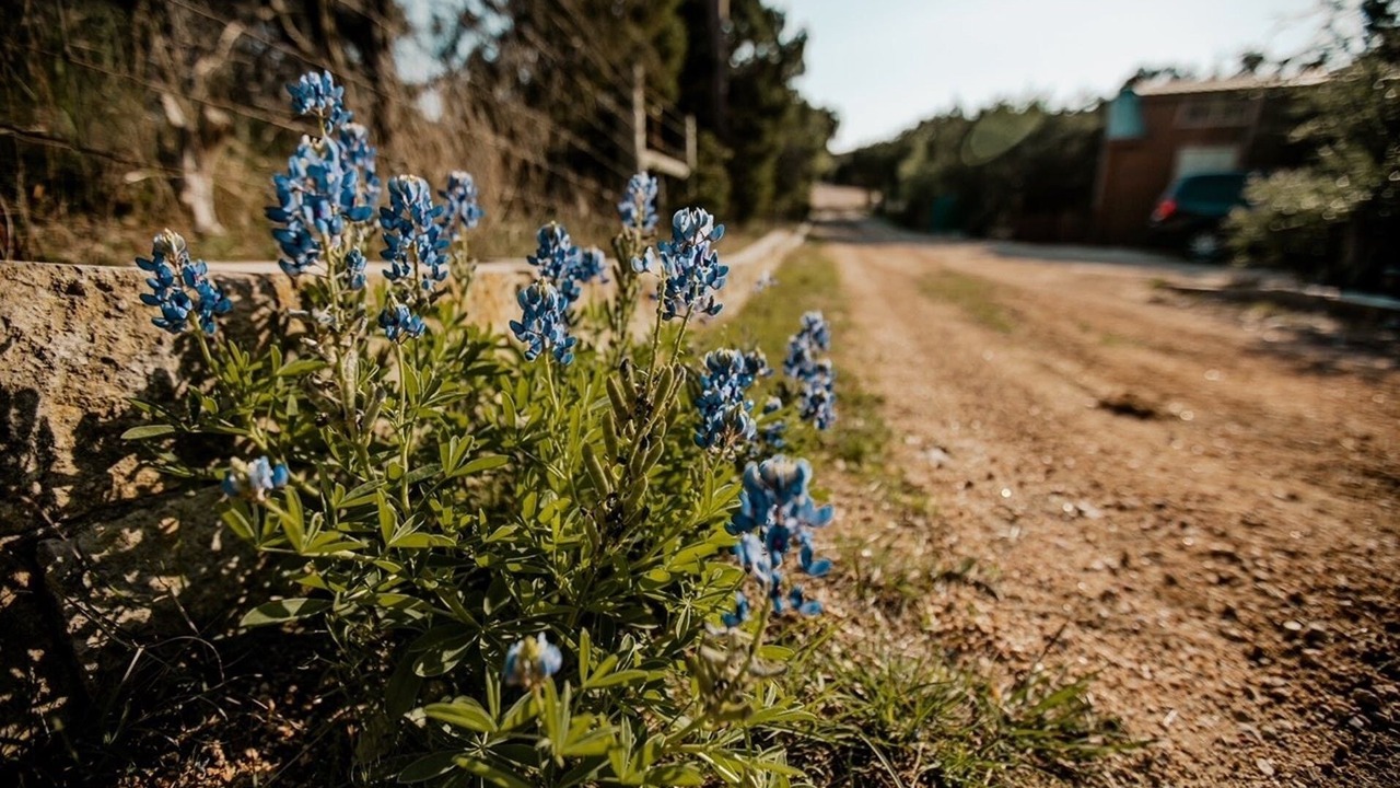 Photo of Outdoor in Austin