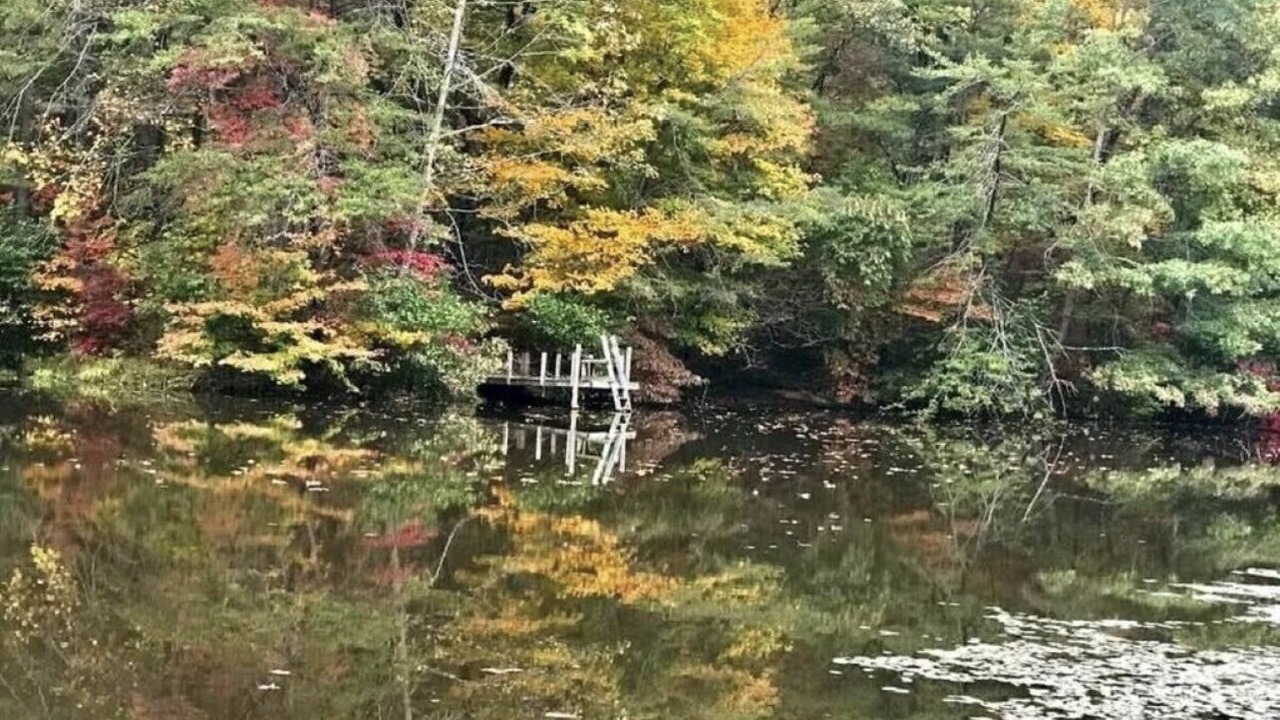 Photo of Others in Laurelville