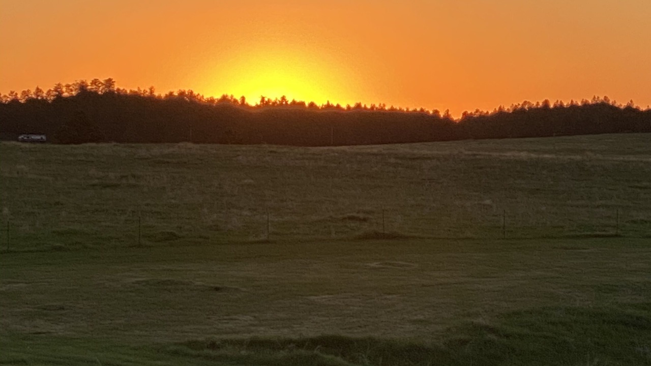 Photo of Others in Custer