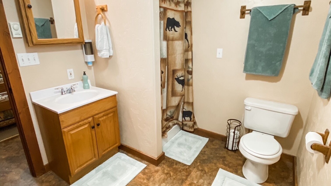 Photo of Bathroom in Seeley Lake