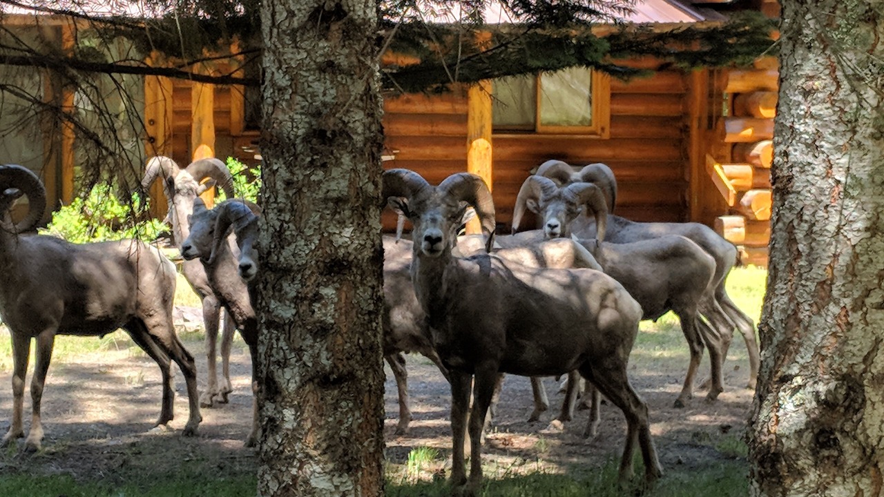 Photo of Others in Libby