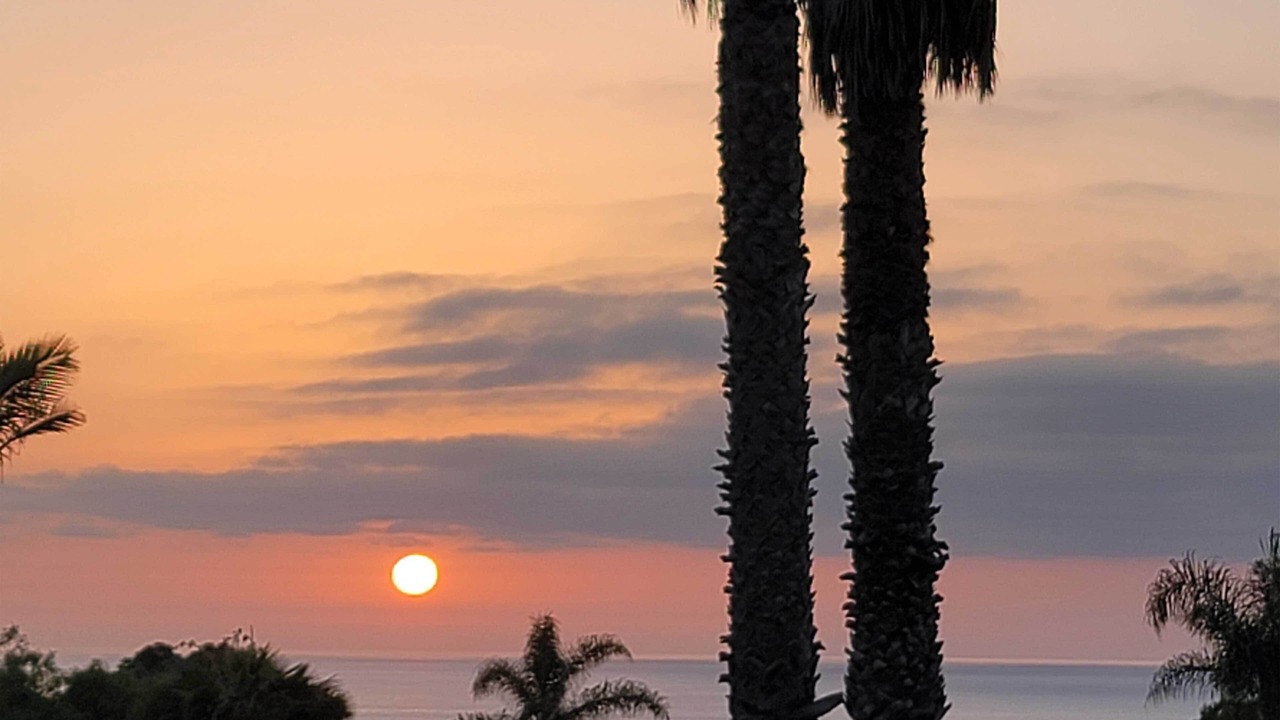Photo of Others in Point Loma Heights