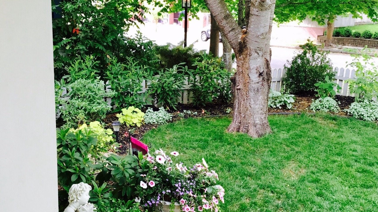 Photo of Others in Garden District