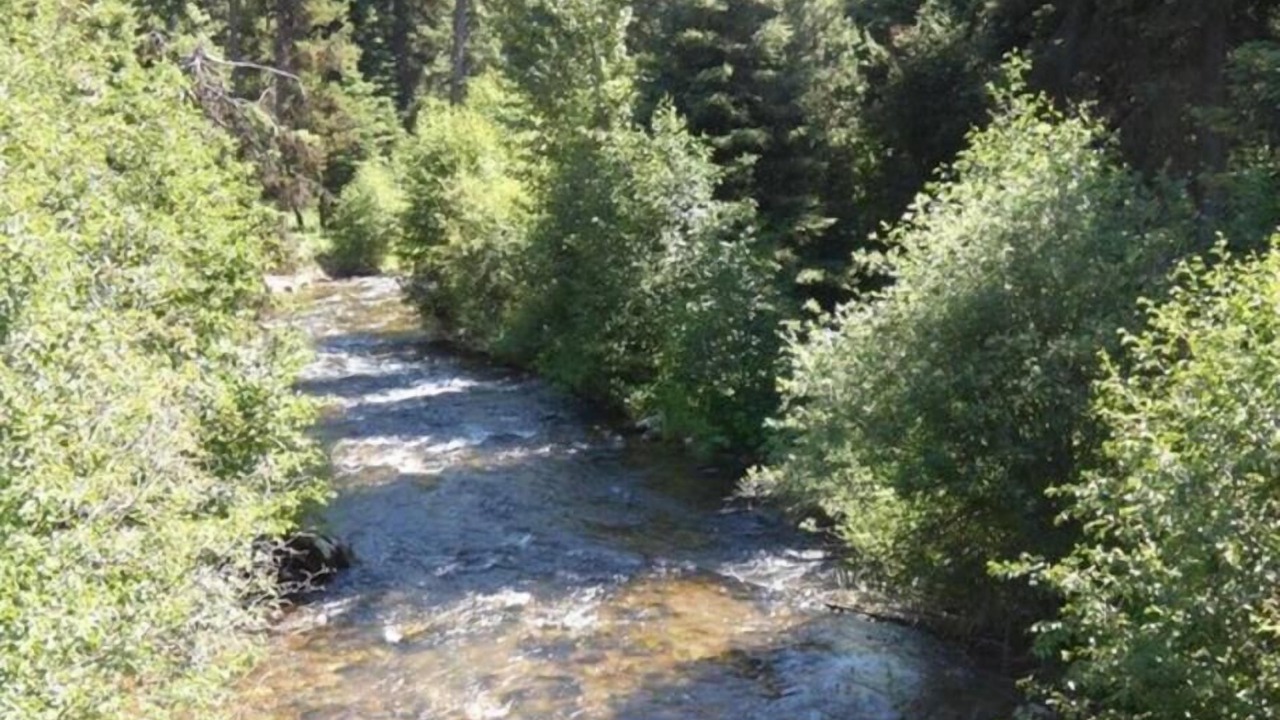 Photo of Others in Seeley Lake