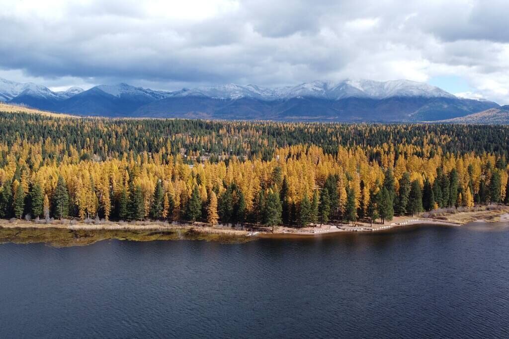 Photo of Outdoor in Seeley Lake