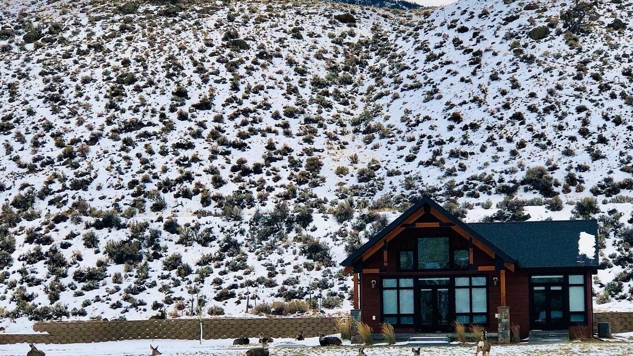Photo of Outdoor in Wapiti
