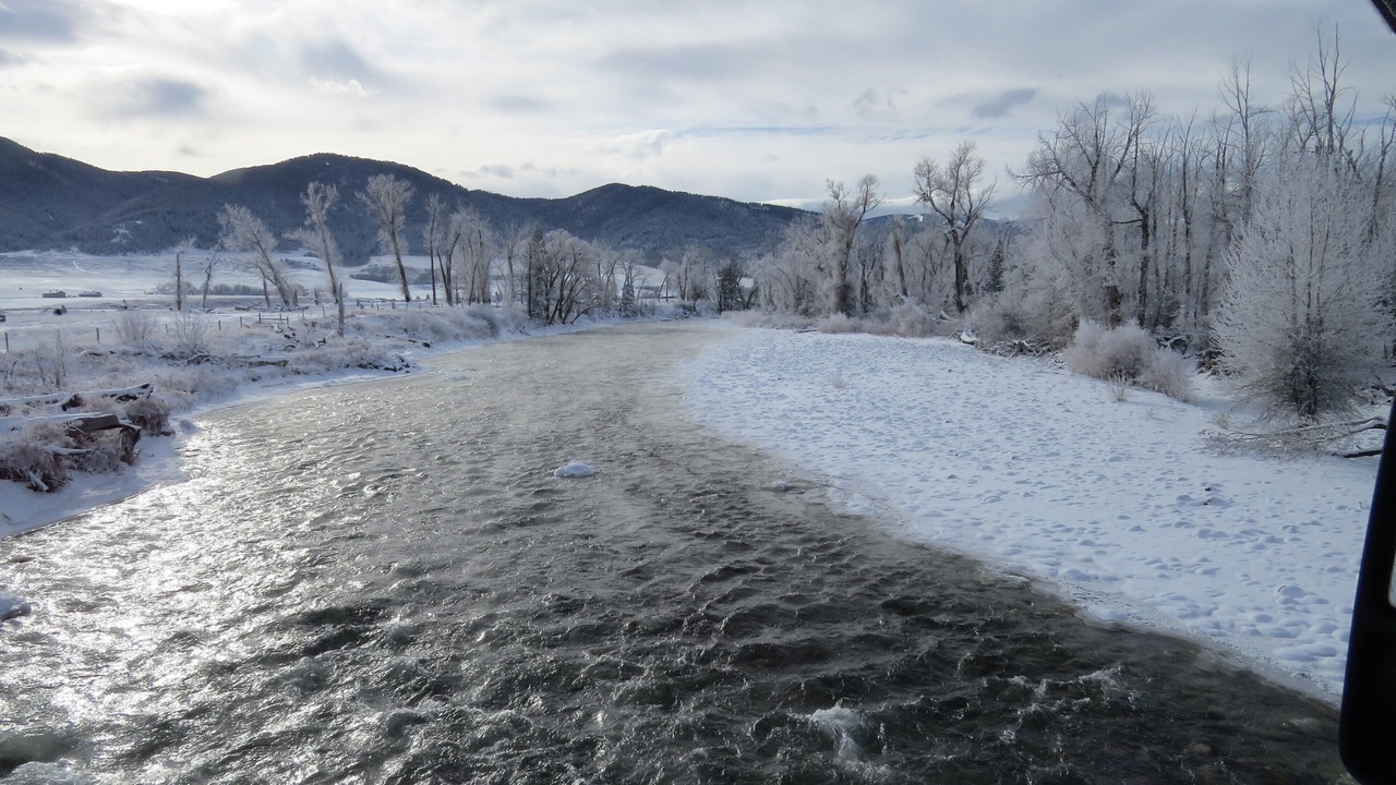 Photo of Others in Bozeman