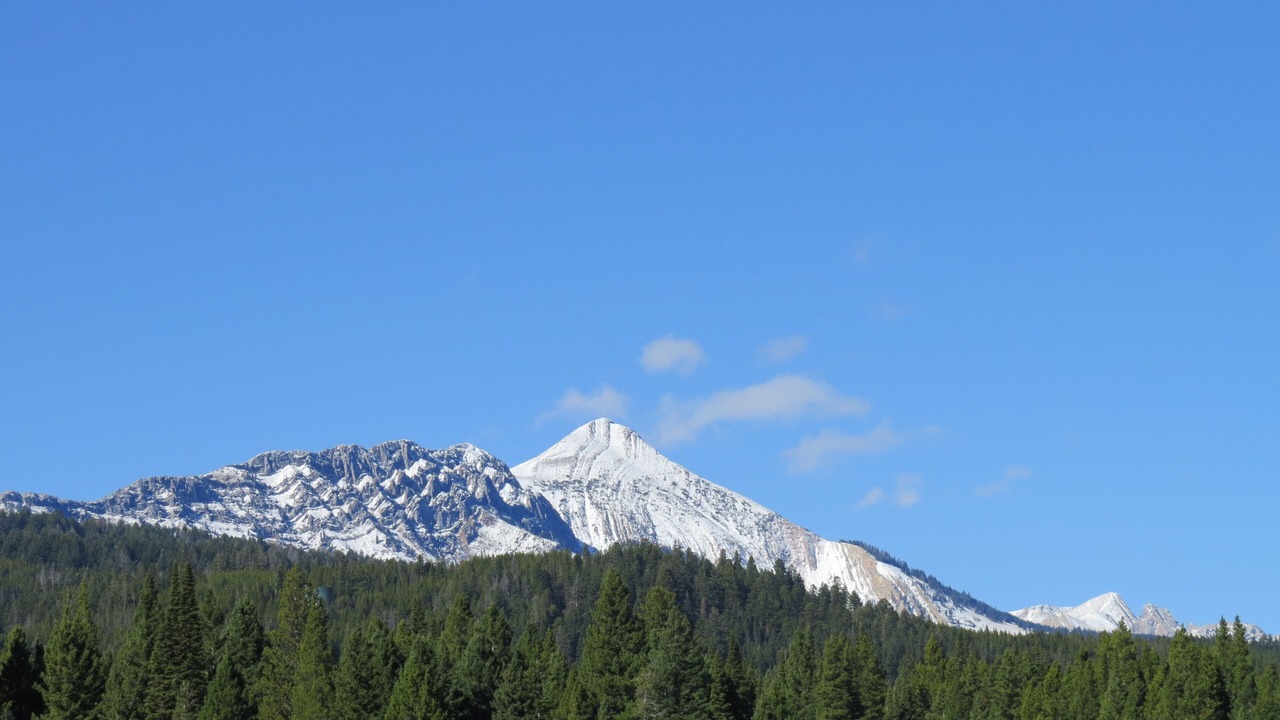 Photo of Others in Bozeman