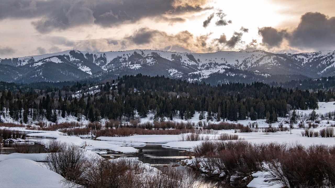 Photo of Others in Alpine