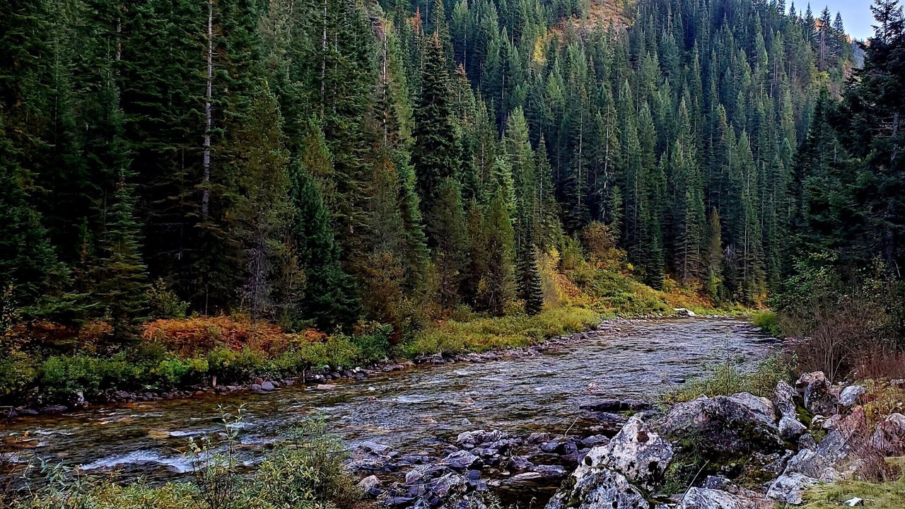 Photo of Others in Clearwater County