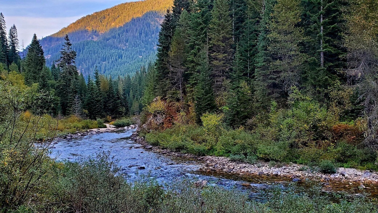 Photo of Others in Clearwater County