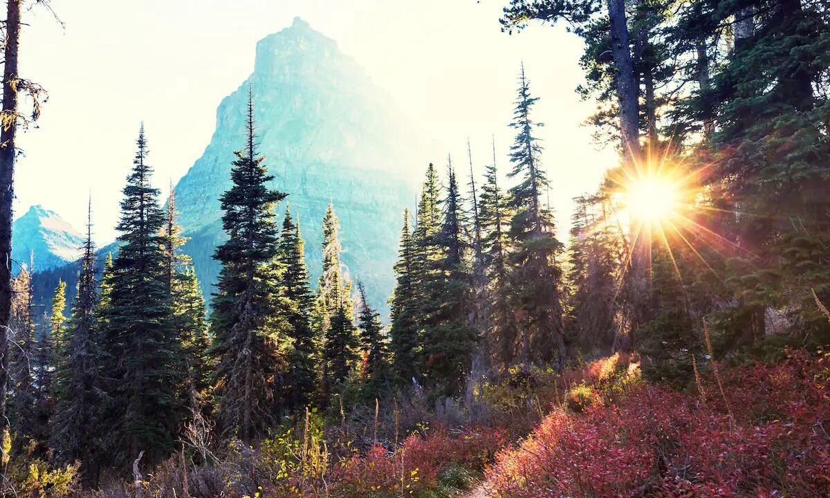 Photo of Outdoor in West Glacier