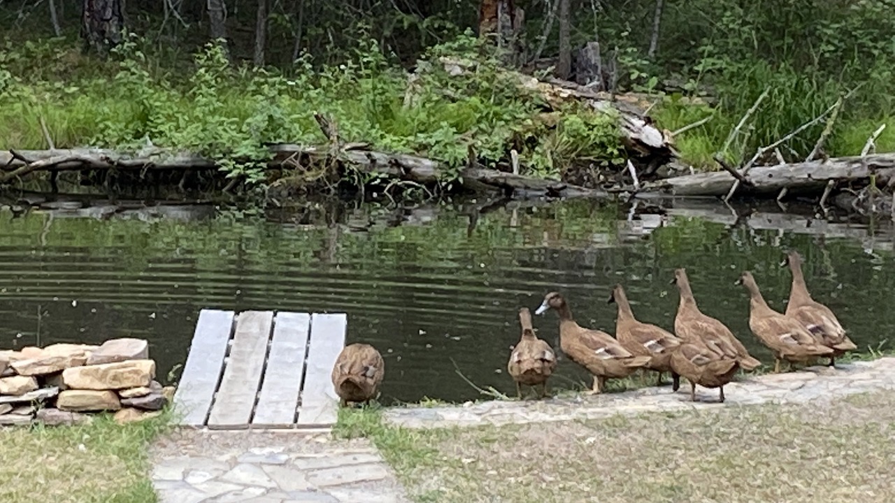 Photo of Outdoor in Missoula