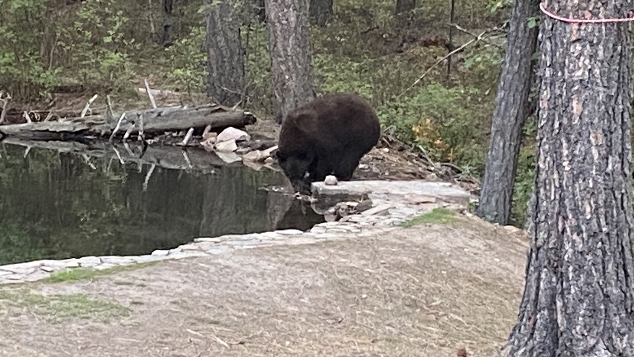 Photo of Outdoor in Missoula