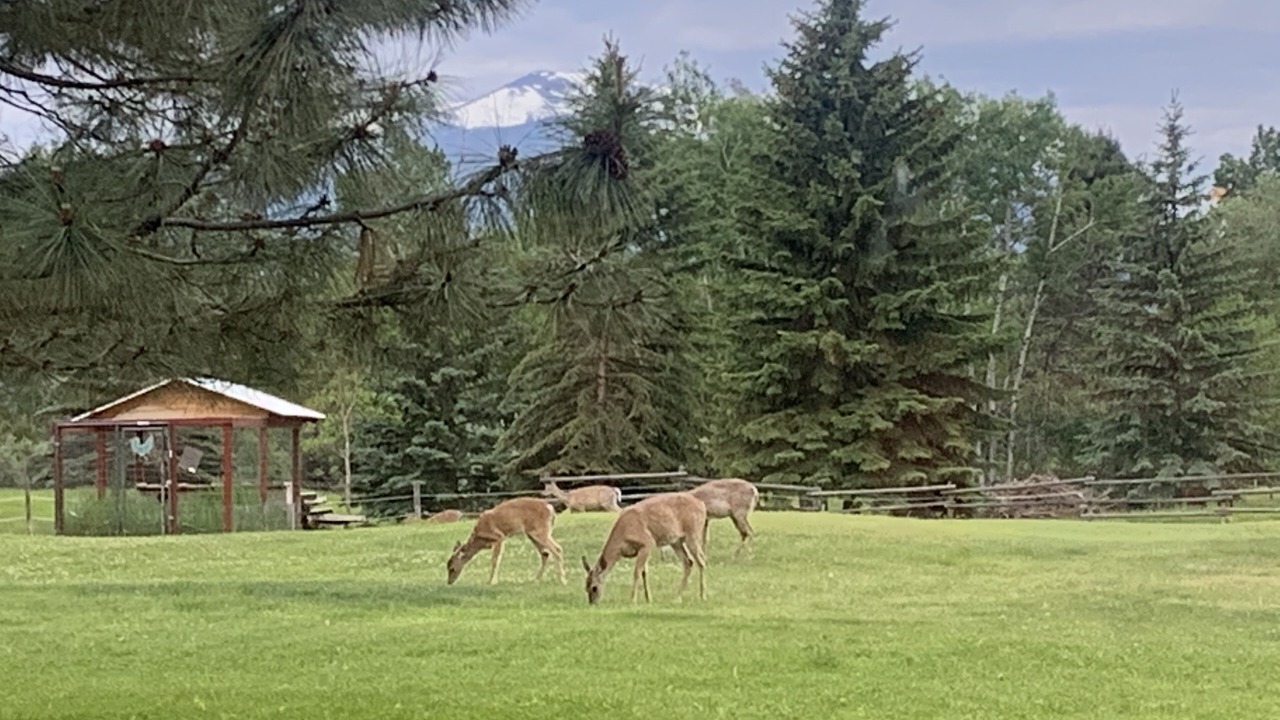 Photo of Others in Stevensville
