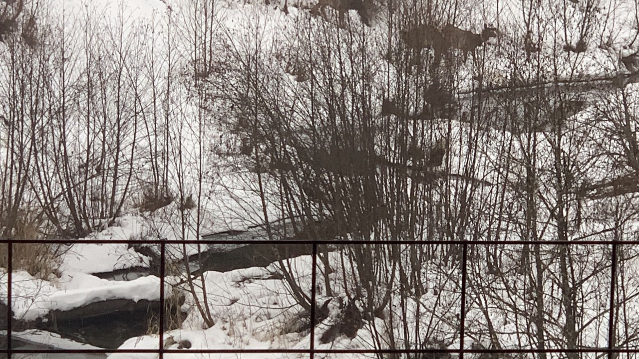 Photo of Others in Noxon