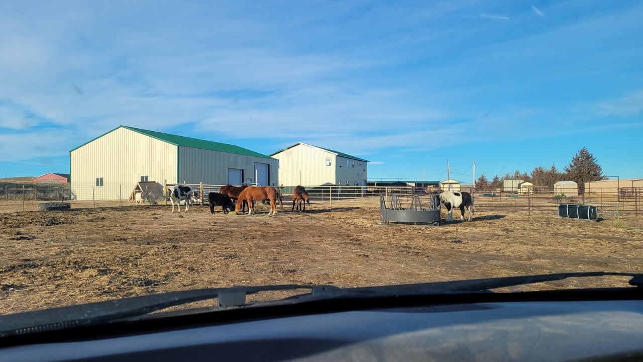 Photo of Others in Lingle