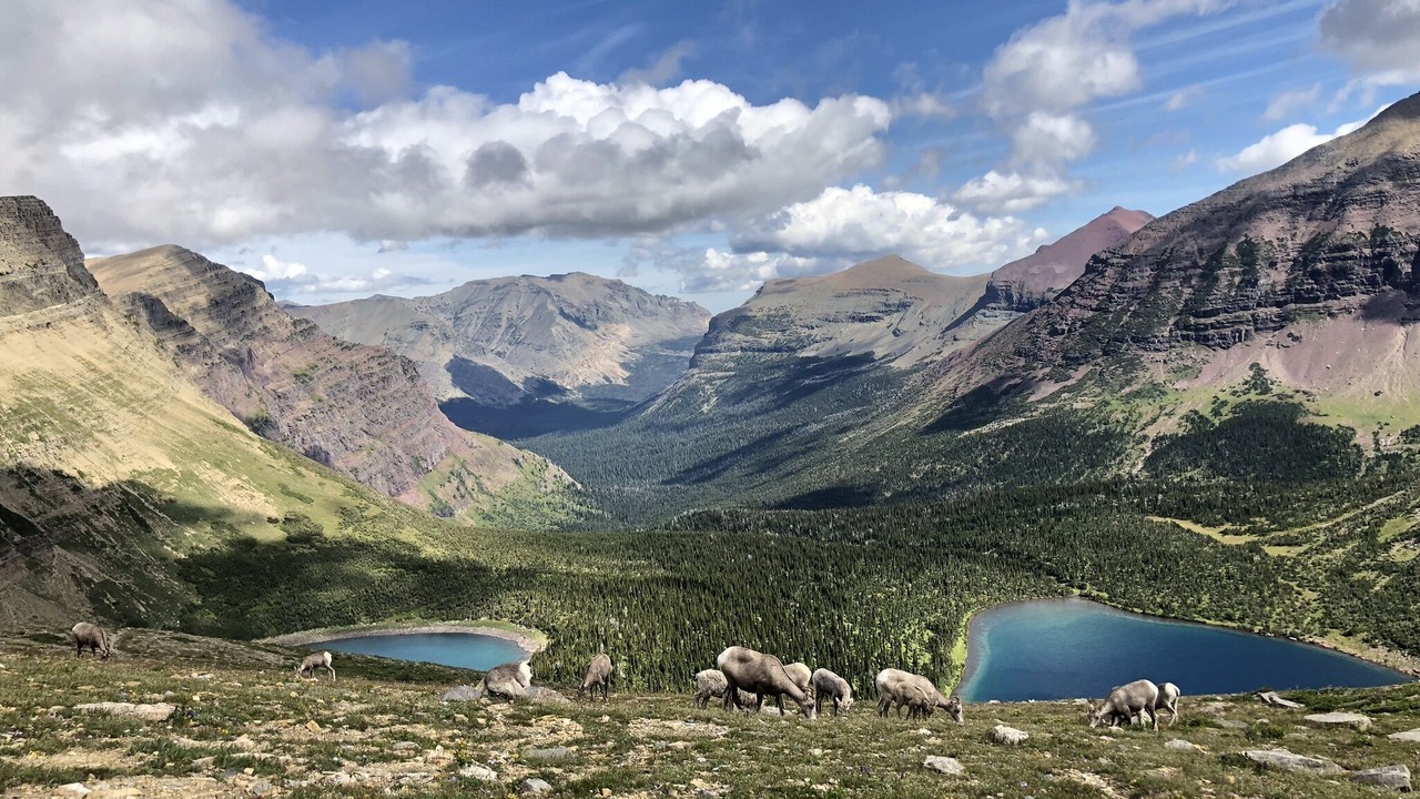 Photo of Others in West Glacier
