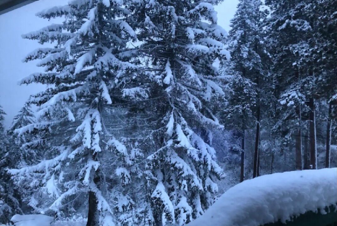 Photo of Outdoor in Bayview