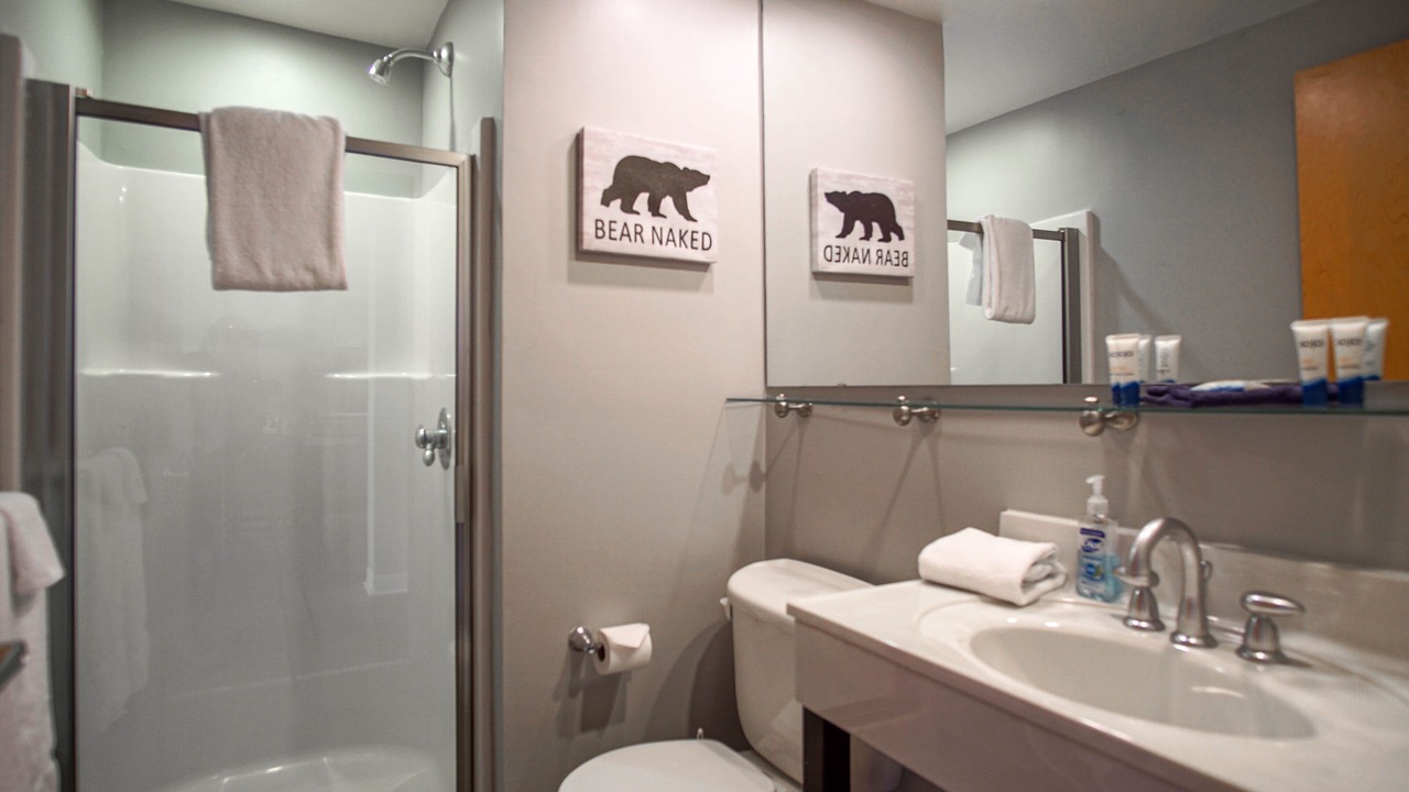 Photo of Bathroom in Snowshoe